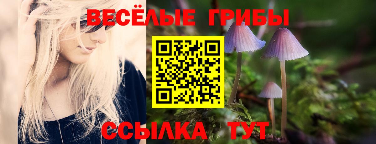 Галлюциногенные грибы прущие грибы  Псилоцибиновые грибы прущие грибы  Вход с VPN  Домодедово 